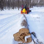 8800lbs 3-Point Hitch Forestry Log Skidding Winch, 200ft Cable Length, 25-60 HP Tractor, Category 1 Hookup, FW8800 - Image 4